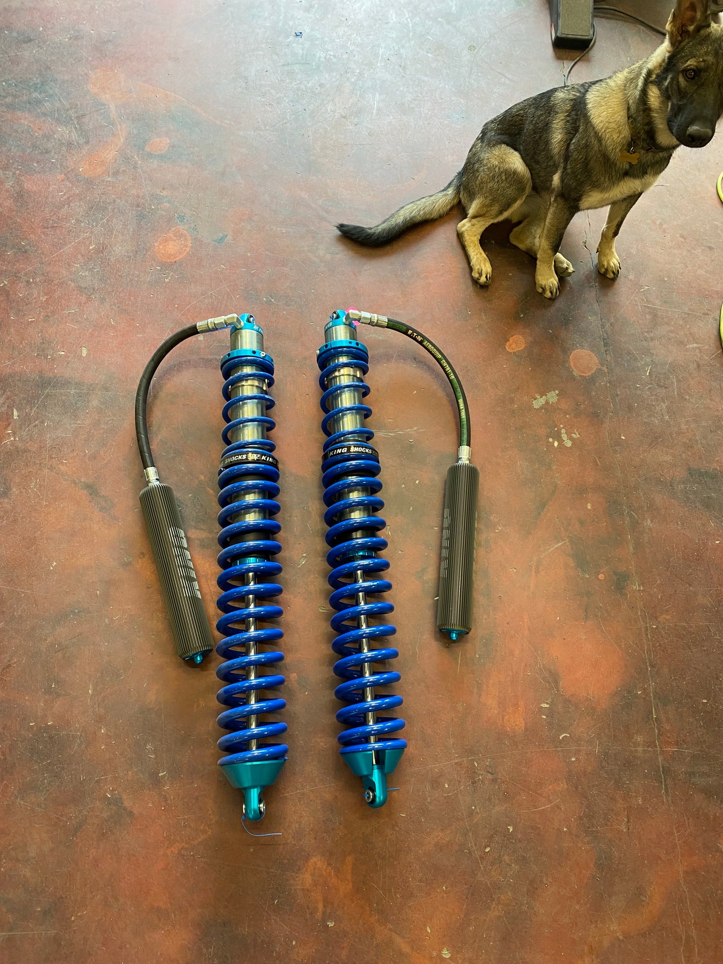 King PR 3.0x16" Hose Remote Coil overs w/finned reservoirs