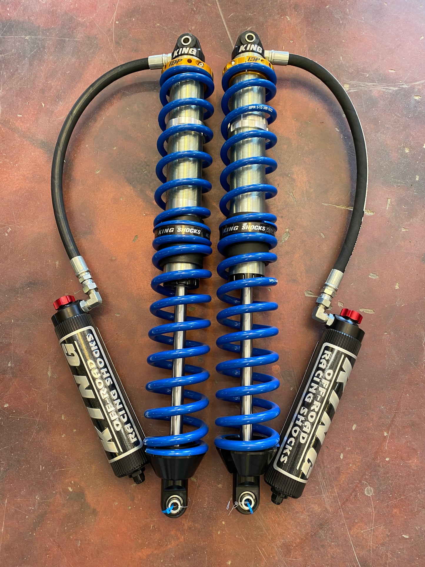 King PR 2.5x12 IBP, Adjusters, Fins, Black Ano